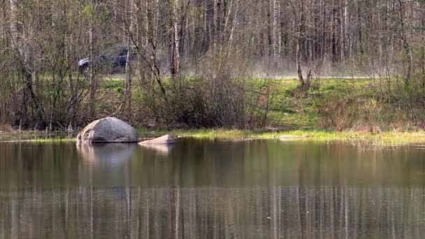 Landschap Meren Bossen Van Noordelijke Natuur Wilde Natuur Een Zonnige — Stockvideo