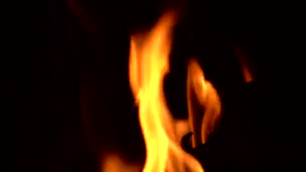 Φλόγα Της Φωτιάς Είναι Πολύ Κοντά Καύση Είναι Συναρπαστική Και — Αρχείο Βίντεο