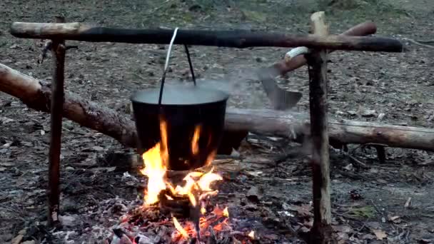 Boiling Water Fire Hike Romance Hiking Nature Cooking Drinking Tourists — Stock Video