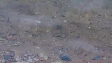 Arka plan şeffaf vahşi sörf sahili. Gölün dibi suyun içinden görülebilir..