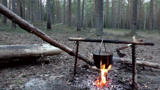 Boiling Water Fire Hike Romance Hiking Nature Cooking Drinking Tourists — Stock Video