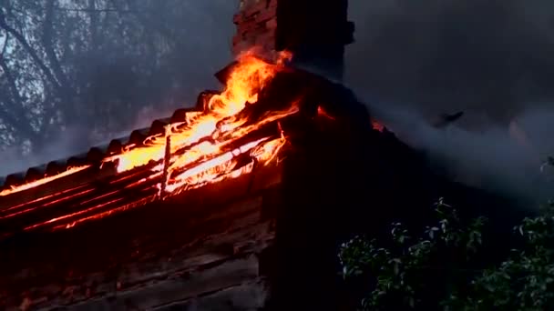 Extinguish Burning Old Wooden House Tragedy Fire Dwelling — Stock Video