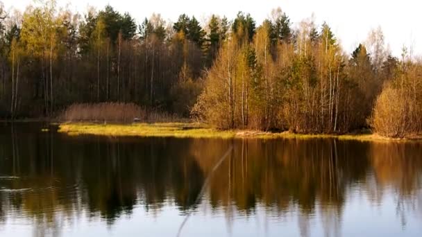 Ландшафтні Озера Ліси Північної Природи Дика Природа Сонячний День — стокове відео