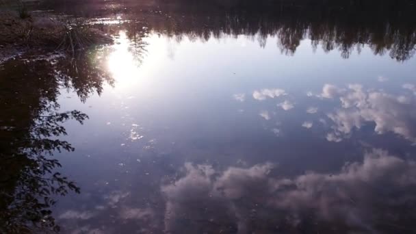 湖面上的飞云映照在夕阳的光线中 北方自然景观湖泊和森林 — 图库视频影像