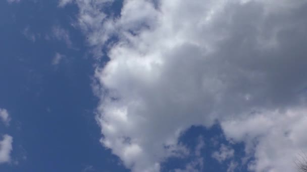 Wolken fliegen in den Himmel. — Stockvideo