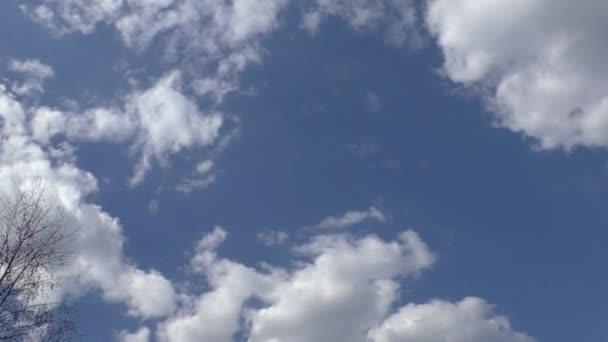 Wolken vliegen in de lucht. — Stockvideo