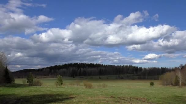 雲が森の丘の上を飛ぶ 山北部野生動物の過酷な丘陵風景 — ストック動画