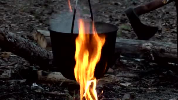 Βραστό Νερό Φωτιά Πεζοπορία Ρομαντική Πεζοπορία Από Φύση Μαγείρεμα Και — Αρχείο Βίντεο
