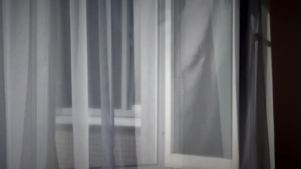 Rideaux Blancs Sur Fenêtre Ouverte Contexte Vent Soufflant Travers Tissu — Video