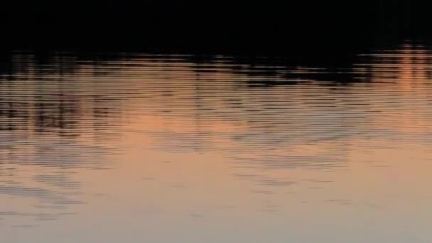 Achtergrond Water Bij Zonsondergang Avond Idyllische Rustige Scène Van Een — Stockvideo