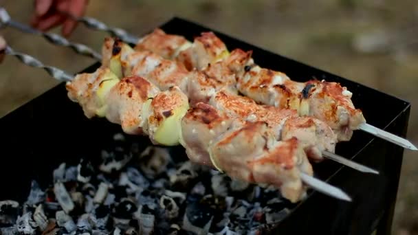 串に焼いた肉 串焼き肉のグルジアバーベキュー 暖炉で調理された国立白人料理 — ストック動画
