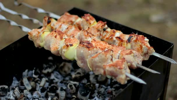 Carne Arrosto Spiedini Barbecue Georgiano Carne Allo Spiedo Arrosto Spiedini — Video Stock