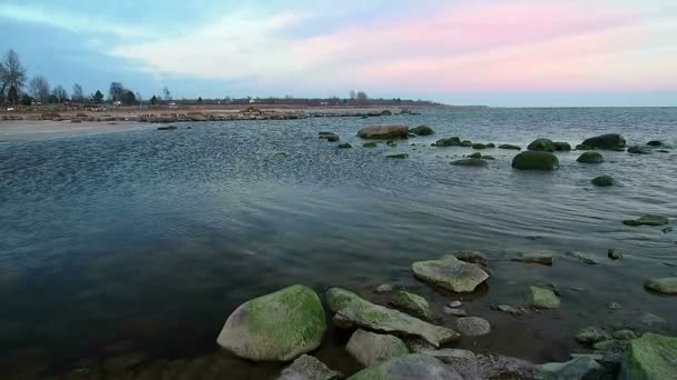 Kust met de noordelijke natuur in het voorjaar — Stockvideo