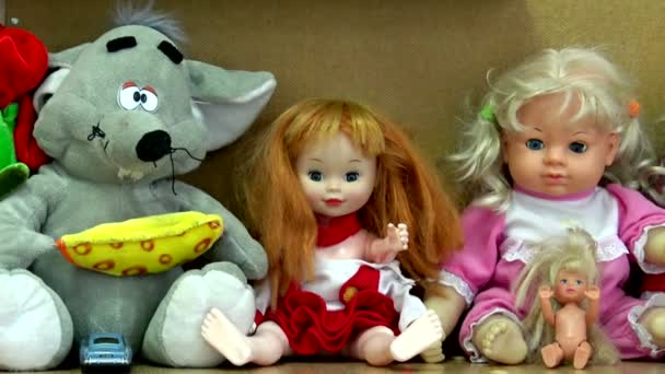 Muñecas Juguetes Blandos Para Bebé Lindo Juguete Animales Muñecas Hombres — Vídeo de stock