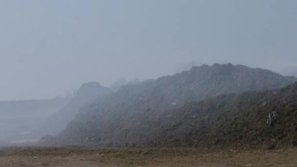 泥炭火災の自発的燃焼 バートで収集された芝の自己点火 — ストック動画