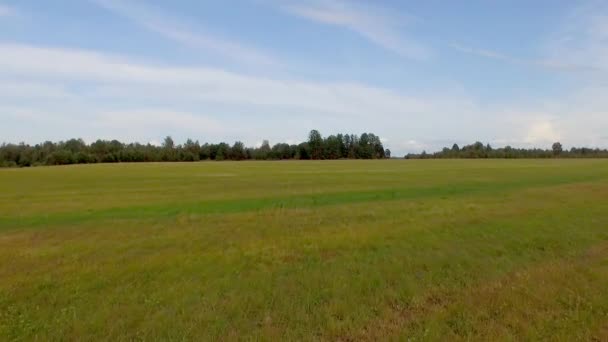 Flying Sowing Field Agricultural Landscape View Top — Stock Video