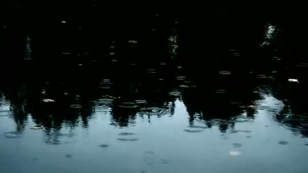 闪闪发光的雨滴的背景 雨滴落下 在森林水面上留下圆圈 雨季是悲伤和梦想的好时机 — 图库视频影像
