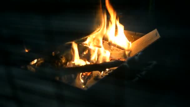 キャンプの木の枝に火 炎は明るく燃えている — ストック動画