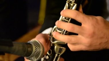 Müzisyen klarnet çalıyor. tek bir sazlık ile müzik aleti. Tek bir kamış ile Woodwind müzik aleti. Müzik türleri bir solo enstrüman, oda toplulukları, Senfoni orkestraları ve pirinç bantları, halk müziği, sahne ve caz.
