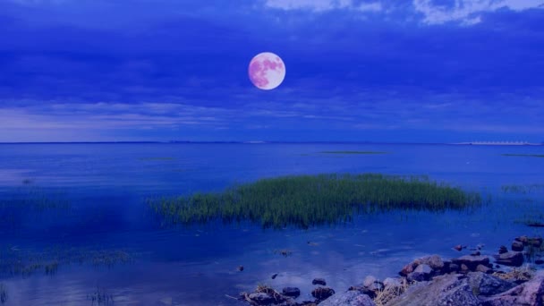 Мистическое восхождение луны . — стоковое видео