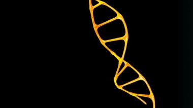 Spiral DNA molekülünün arka plan hareketi. Yaşayan organizmaların gelişimi ve işlevleri için genetik programı saklayan bir makro molekül..