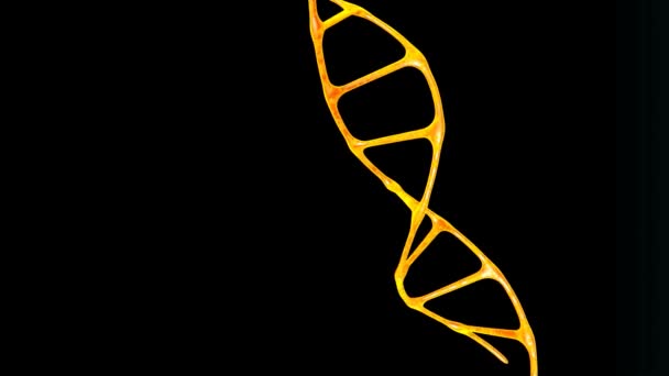 螺旋Dna分子的背景运动 生物大分子为生物的发展和功能而储存基因程序的大分子 — 图库视频影像