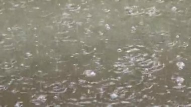 Yağmur damlaları suyun yüzeyinde fokurduyor..