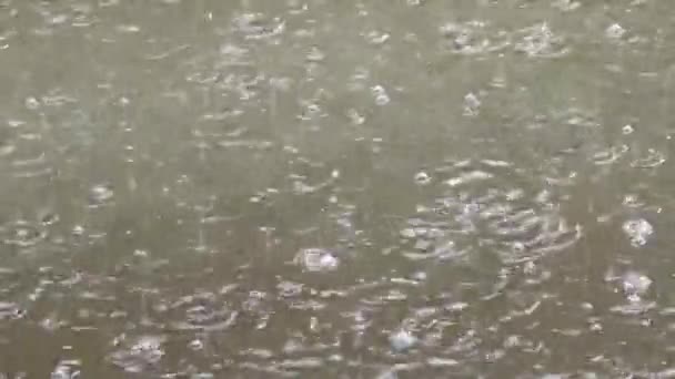 Des coulées de pluie qui bouillonnent à la surface de l'eau.