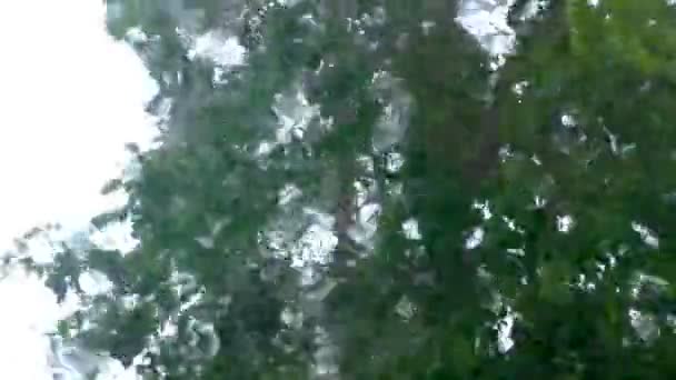 車の窓の外のハリケーンの雨のビュー ガラス清掃水の後ろに荒れ狂う台風 — ストック動画