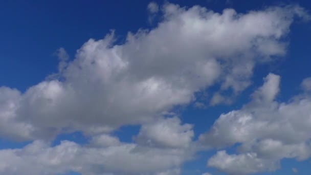 Antecedentes Nubes Volando Cielo Los Cielos Son Magníficos Sobre Nosotros — Vídeos de Stock