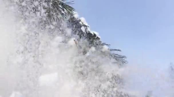 ヨーロッパの北の野生の森の中の雪 雪と木の冬の風景 — ストック動画