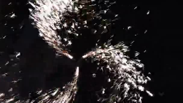 Πυροτέχνημα Στον Νυχτερινό Ουρανό Φόντο Εορταστικό Φως Εμφάνιση — Αρχείο Βίντεο