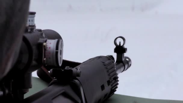 Sniper Shoots Tiger Carbine Winter Shooting Target Front Sight Rifle — Stock Video