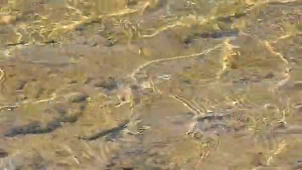 Kayalık sahildeki vahşi bir nehrin berrak suları.. — Stok video