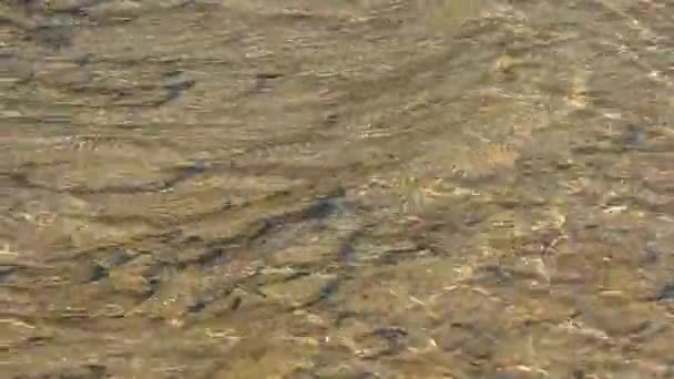 Klart vatten från en vild flod på en stenig strand. — Stockvideo