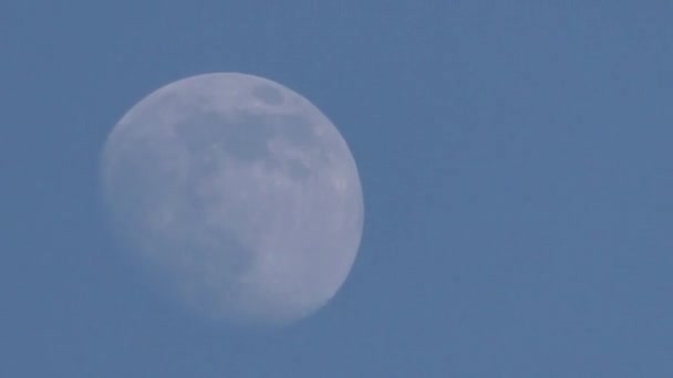 Movimiento Luna Nocturna Cielo Vista Mística Estrella Lunar — Vídeo de stock