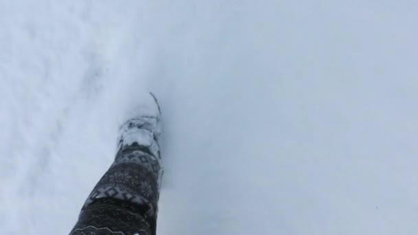 남자가 걷습니다 눈덮인 여행하는 사람의 — 비디오
