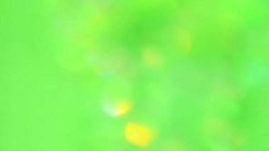 Bokeh yeşil sızıntıları hareket ediyor. Çemberler hareket halinde bulanık.
