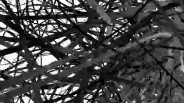 Hareket eden siyah kurdelelerin soyut karışıklığı. Karanlık madde uzayda kıvranıyor..