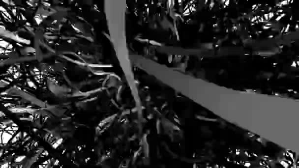 Αφηρημένο Κουβάρι Από Κινούμενες Μαύρες Κορδέλες Σκοτεινή Ύλη Σπαρταρά Στο — Αρχείο Βίντεο