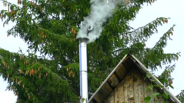 Kouř Komína Severním Lese Vytápění Zimní Dřevěná Chata Chladu — Stock video