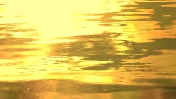 Flussi Oro Liquido Sfondo Riflesso Nelle Onde Del Sole — Video Stock