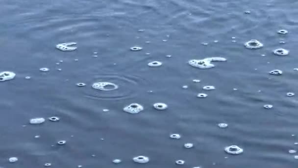 Povrch řeky s pěnou a bublinami. — Stock video