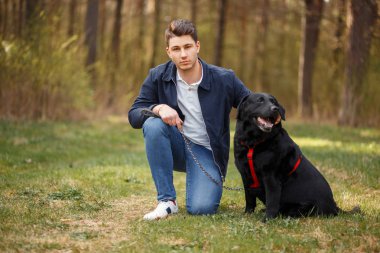 Yakışıklı genç bir siyah labrador köpek parkta yürüyen ile
