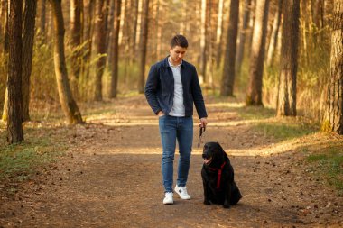 Güneşli bir günde ormanda yürüyen bir köpek ile yakışıklı adam