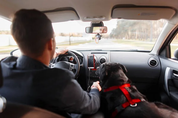 英俊的年轻人与狗在汽车旅行 — 图库照片