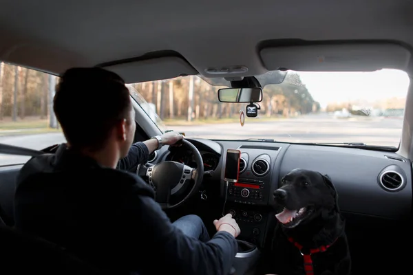 Jonge Man Met Een Hond Het Rijden Auto Reis Gaat — Stockfoto