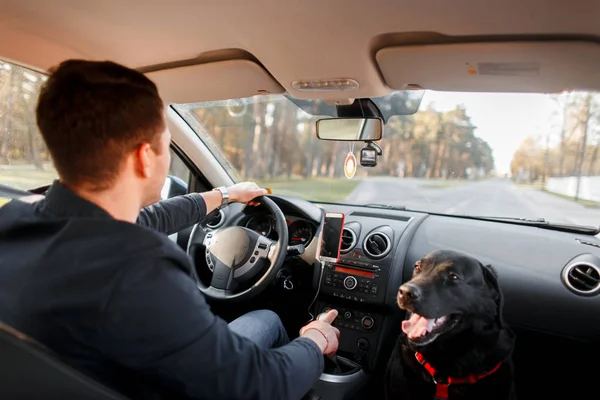 Jonge Man Met Een Hond Het Rijden Een Auto — Stockfoto