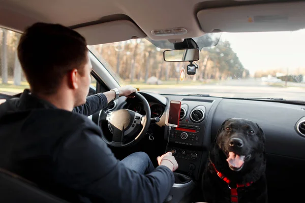 Man drives a car. A black dog is sitting in the car. Concept travel with a friend