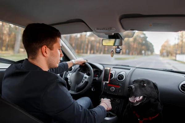 Jonge Man Rijdt Een Auto Hond Zittend Stoel Auto — Stockfoto